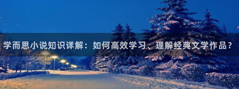 起点快穿小说：学而思小说知识详解：如何高效学习、理解经典文学作品？