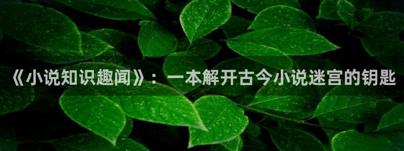 起点中文网免费阅读：《小说知识趣闻》：一本解开古今小说迷宫的钥匙