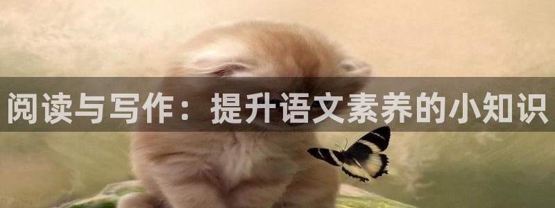 起点小说一章多少字：阅读与写作：提升语文素养的小知识