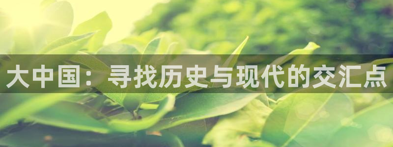 起点小说有没有免费的：大中国：寻找历史与现代的交汇点