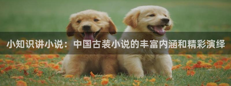 起点最长的小说：小知识讲小说：中国古装小说的丰富内涵和精彩演绎