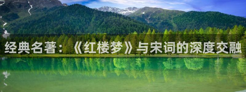 起点玄幻小说推荐：经典名著：《红楼梦》与宋词的深度交融