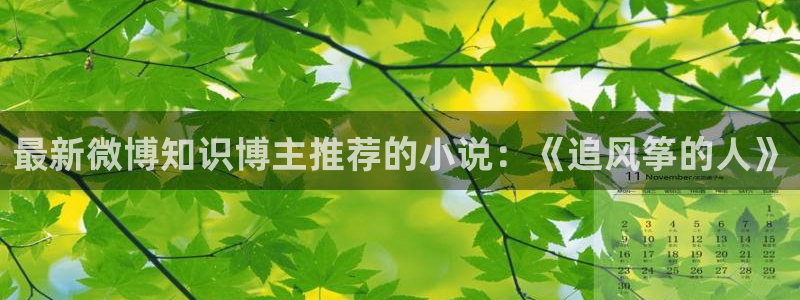 起点,小说：最新微博知识博主推荐的小说：《追风筝的人》