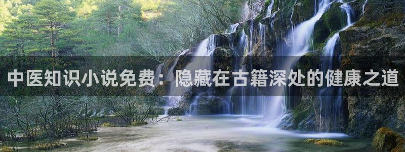 起点小说怎么全订阅：中医知识小说免费：隐藏在古籍深处的健康之道