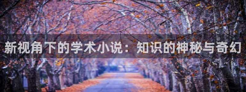 起点中文网小说价格：新视角下的学术小说：知识的神秘与奇幻