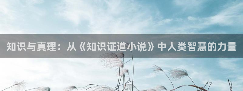 免费下载起点小说下载：知识与真理：从《知识证道小说》中人类智慧的力量