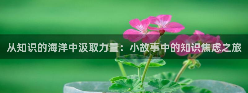 起点小说免费么：从知识的海洋中汲取力量：小故事中的知识焦虑之旅