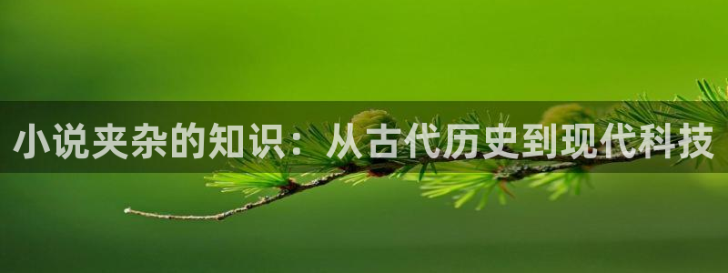 起点无女主小说：小说夹杂的知识：从古代历史到现代科技