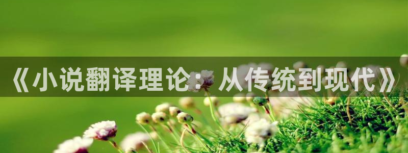 起点后宫文：《小说翻译理论：从传统到现代》