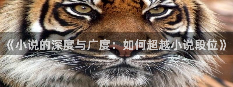 天启预报小说起点：《小说的深度与广度：如何超越小说段位》