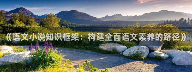 当起点男穿到晋江文小说：《语文小说知识框架：构建全面语文素养的路径》