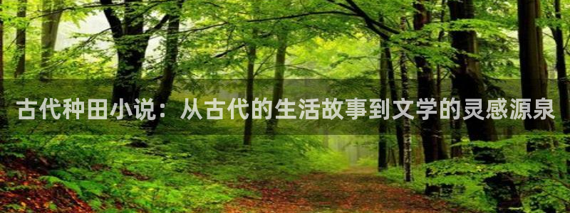 起点小说好贵：古代种田小说：从古代的生活故事到文学的灵感源泉