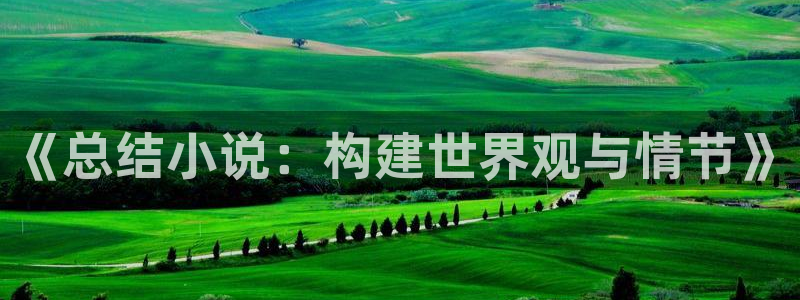 星河之上起点中文网：《总结小说：构建世界观与情节》