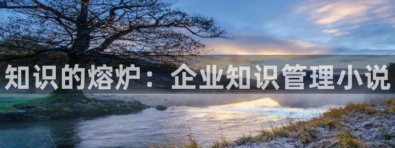 起点小说网写小说：知识的熔炉：企业知识管理小说