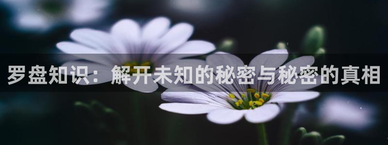 起点小说吗：罗盘知识：解开未知的秘密与秘密的真相