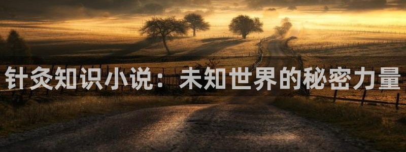 起点小说网官网网页：针灸知识小说：未知世界的秘密力量