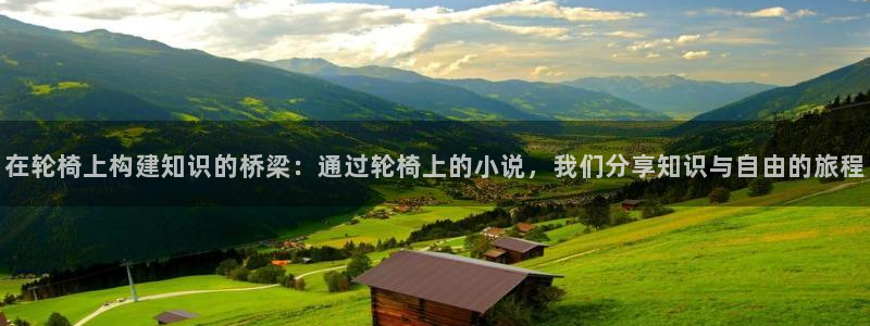起点如何写小说：在轮椅上构建知识的桥梁：通过轮椅上的小说，我们分享知识与自由的旅程