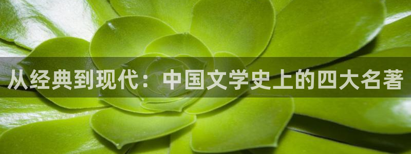 万古帝婿起点 小说：从经典到现代：中国文学史上的四大名著