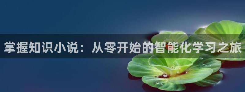 小说起点：掌握知识小说：从零开始的智能化学习之旅