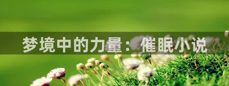 起点文是什么：梦境中的力量：催眠小说