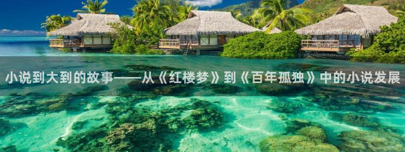 起点小说如何免费看：小说到大到的故事——从《红楼梦》到《百年孤独》中的小说发展