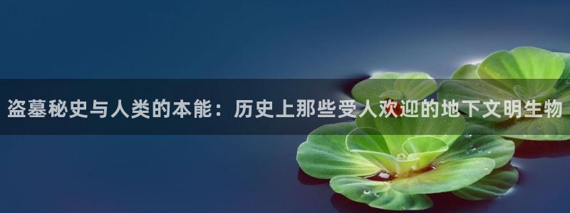 起点可以下载小说吗?：盗墓秘史与人类的本能：历史上那些受人欢迎的地下文明生物