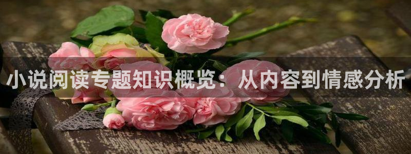 伏天氏起点小说：小说阅读专题知识概览：从内容到情感分析