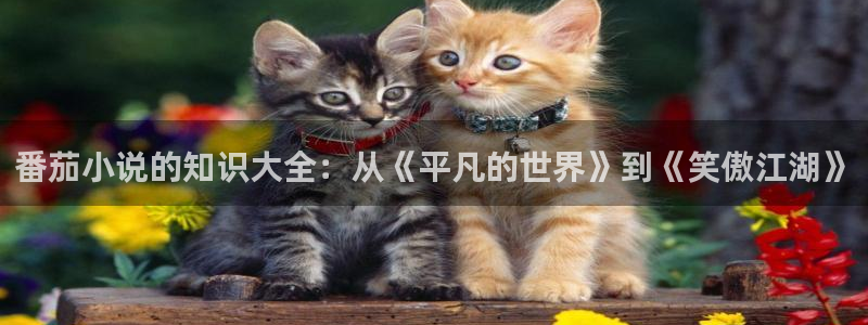 关于起点小说：番茄小说的知识大全：从《平凡的世界》到《笑傲江湖》