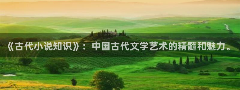 起点小说中文网入口
